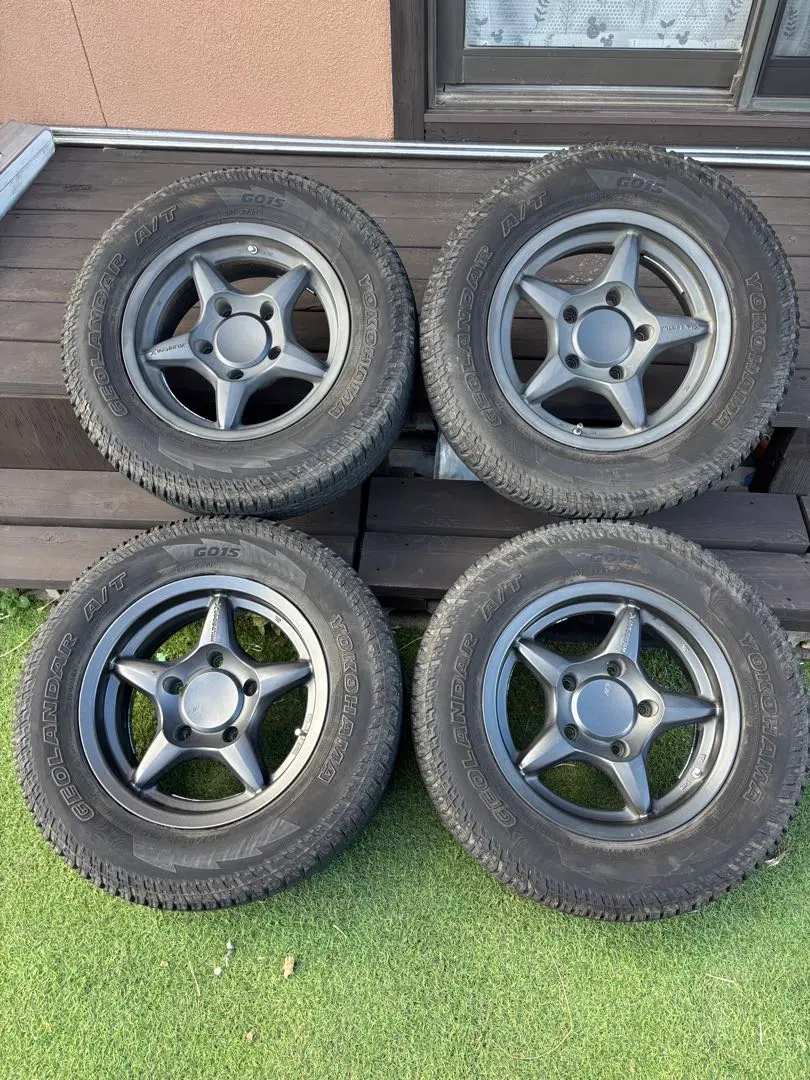 2026年最新】アピオ ワイルドボアの人気アイテム - メルカリ