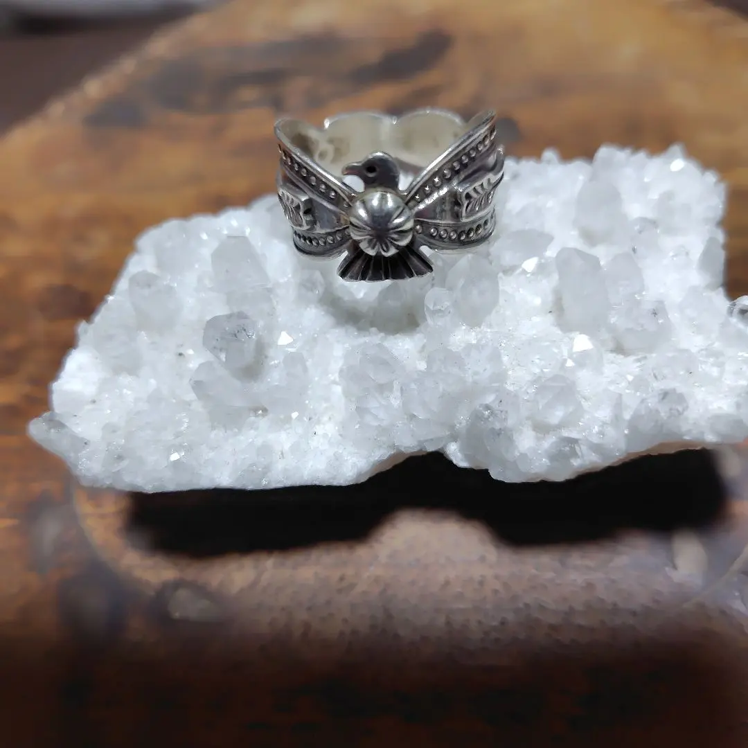 2026年最新】ダレルキャドマン リングの人気アイテム - メルカリ