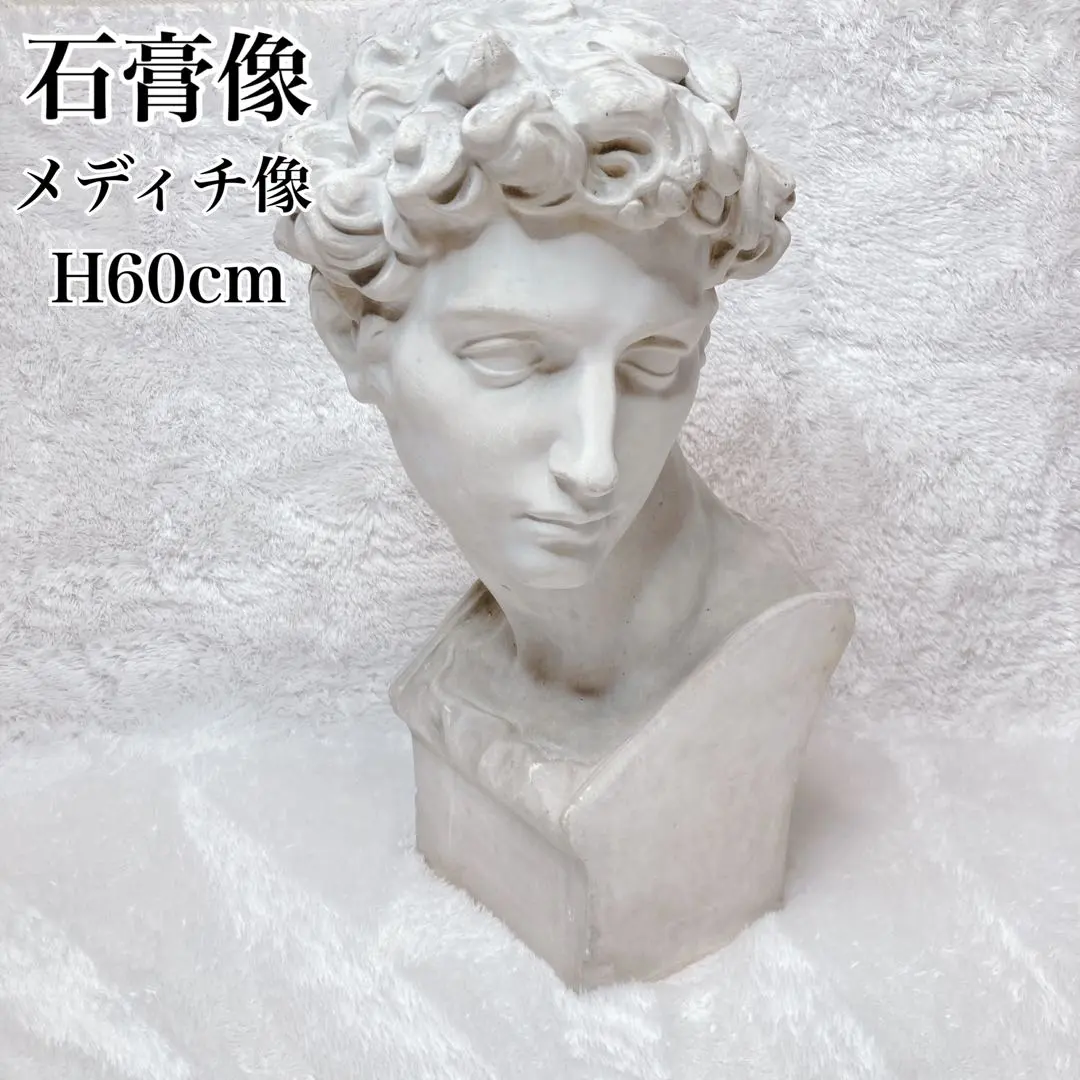 2026年最新】石膏像 メディチの人気アイテム - メルカリ