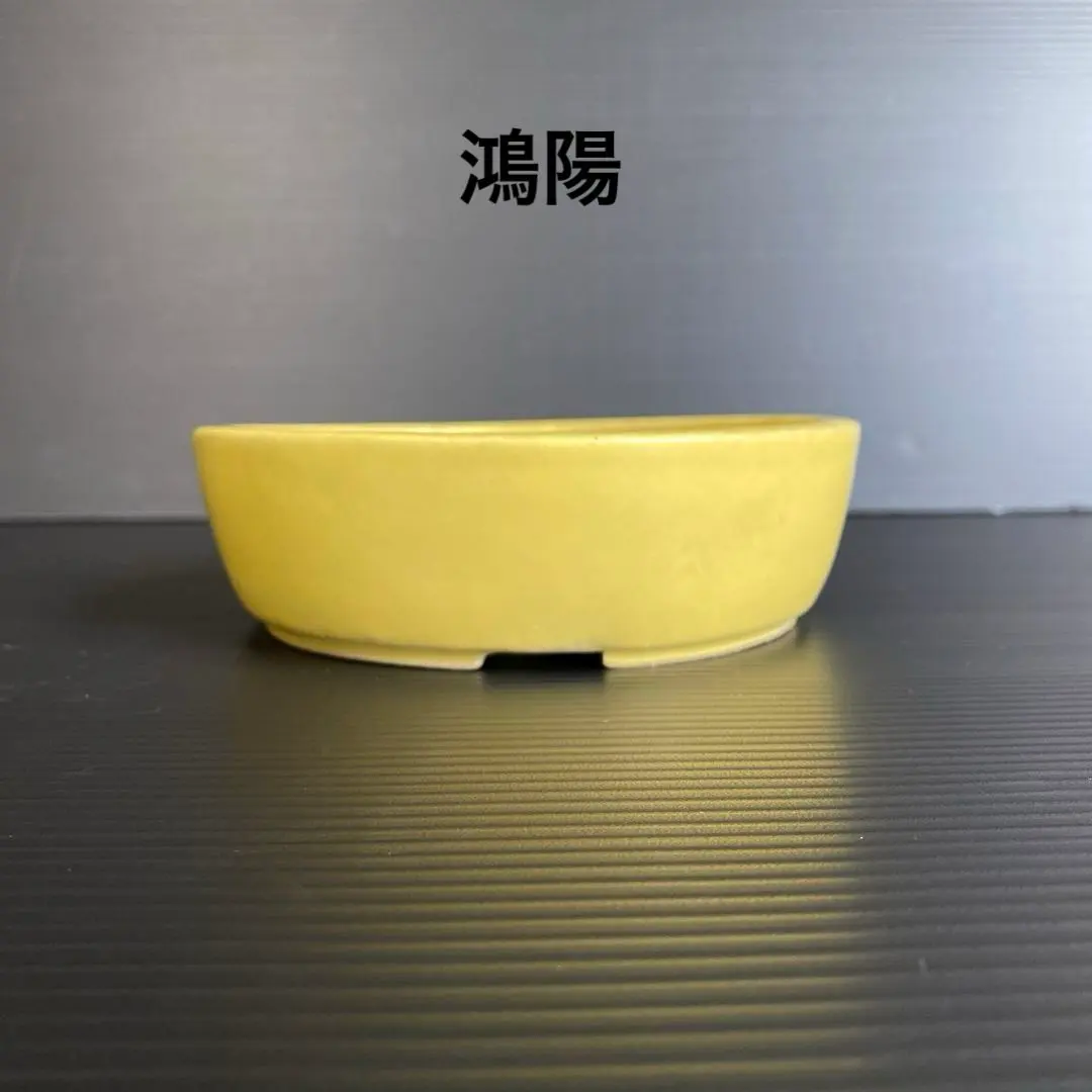 2026年最新】盆栽鉢 鴻陽の人気アイテム - メルカリ