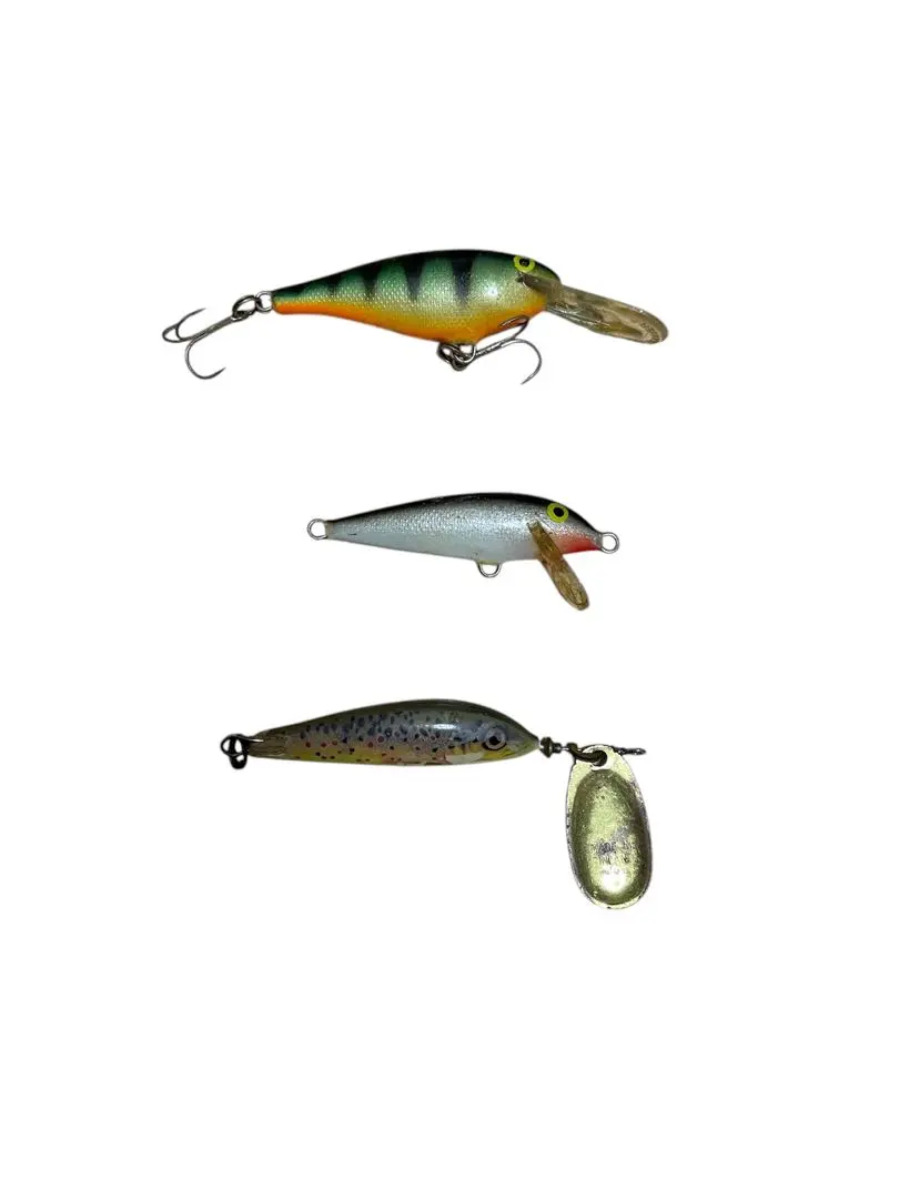 2026年最新】フライノーズシャッドの人気アイテム - メルカリ