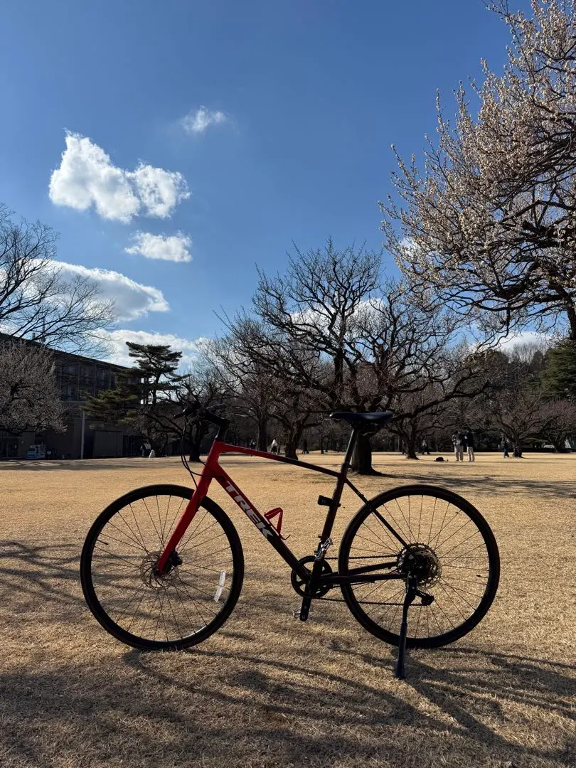 2026年最新】trek クロスバイク lの人気アイテム - メルカリ