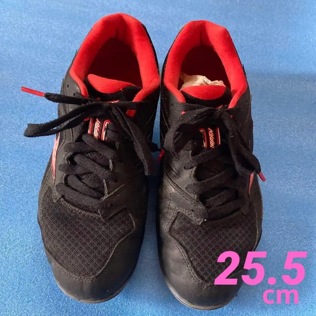 2026年最新】バレーボールシューズ ミズノロイヤルフェニックスの人気