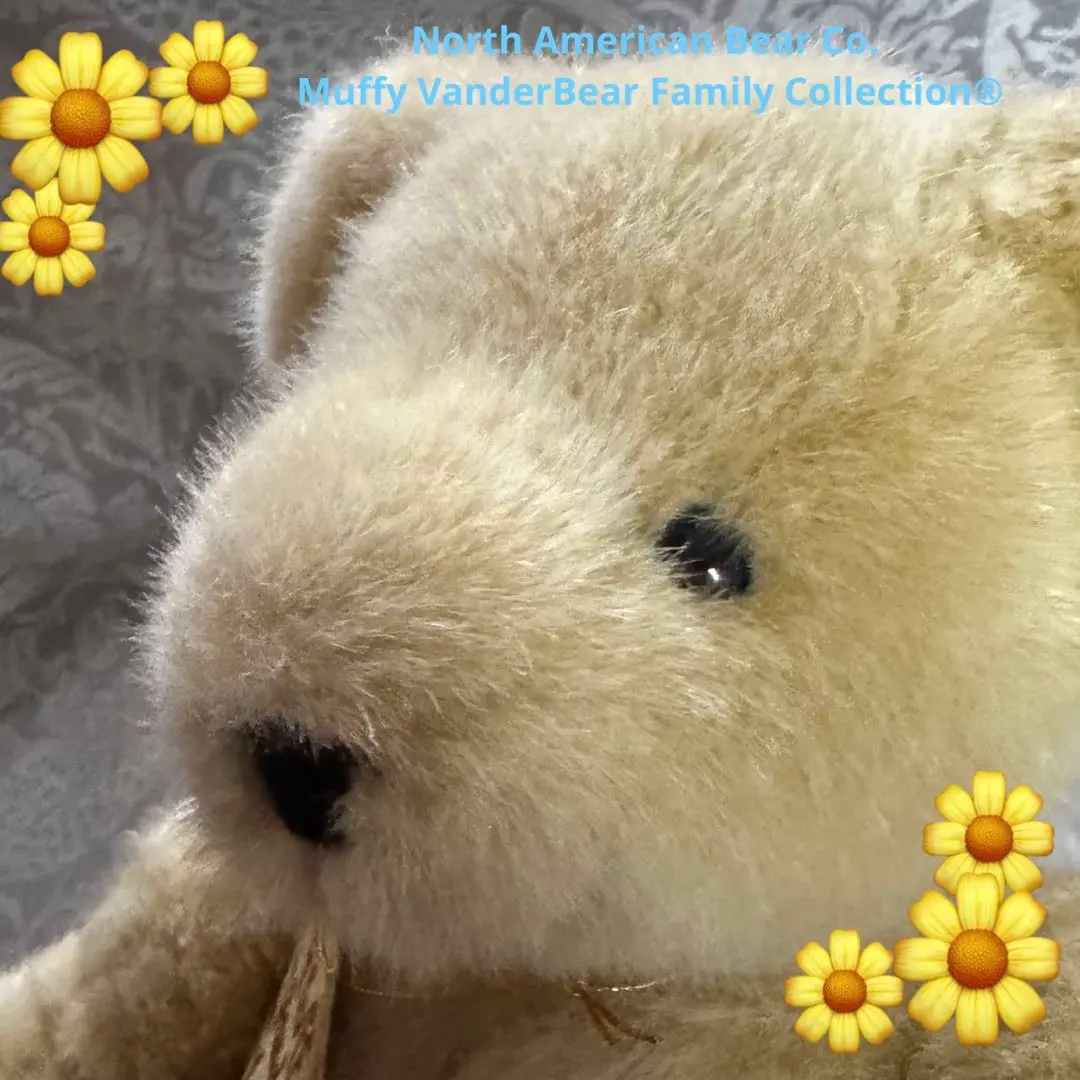 2026年最新】NORTH AMERICAN BEARの人気アイテム - メルカリ