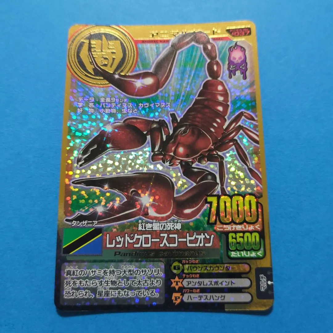 2026年最新】レッドクロースコーピオンの人気アイテム - メルカリ