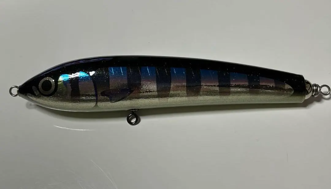 2026年最新】カーペンター ブルーフィッシュ 60 170の人気アイテム