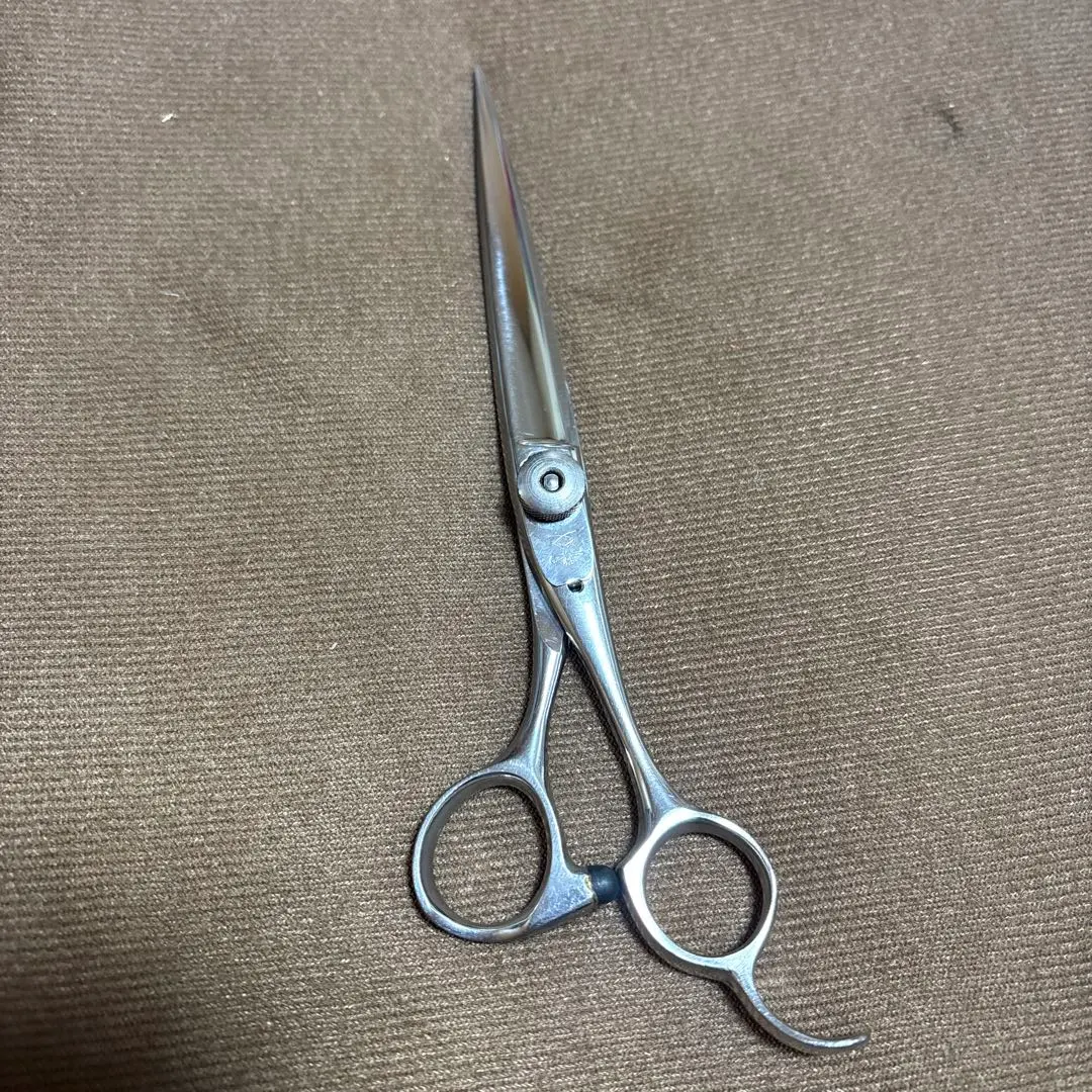 2026年最新】ハイネッタ zの人気アイテム - メルカリ