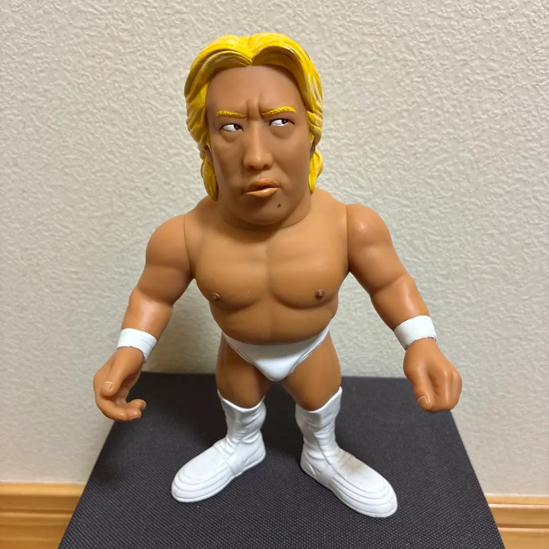 2026年最新】高山善廣 フィギュアの人気アイテム - メルカリ