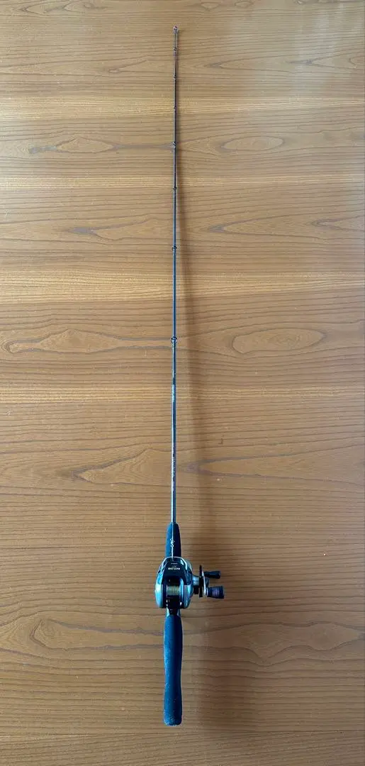 2026年最新】チームダイワ ロッドの人気アイテム - メルカリ