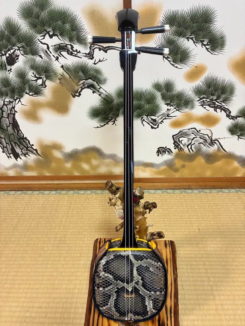 m87528843829_1.jpg?1768453571