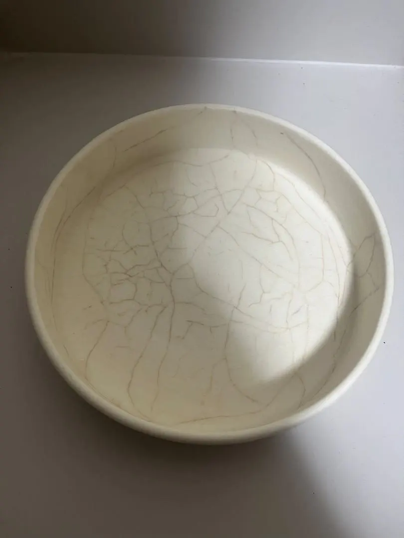 m87829507759_1.jpg?1770813994