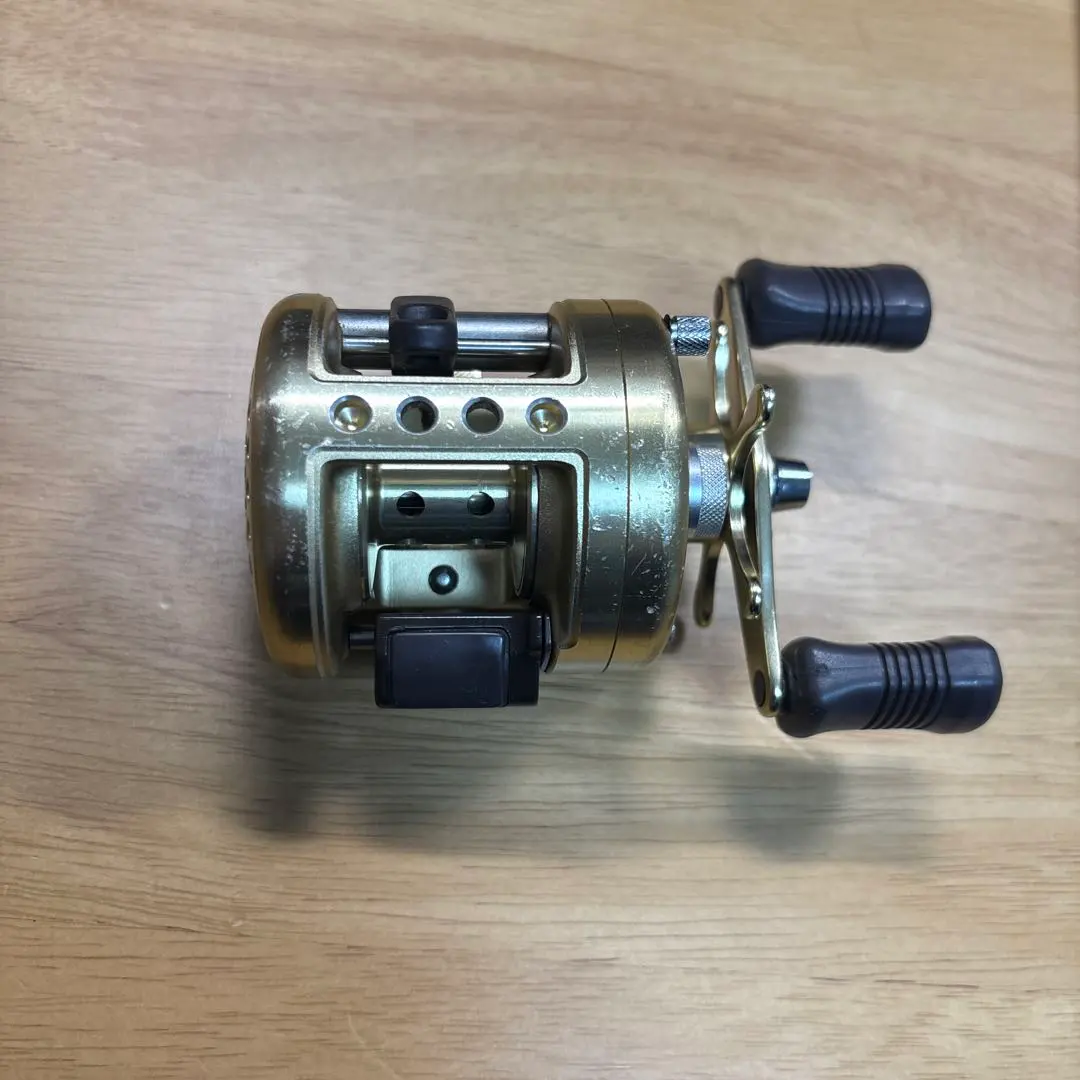 2026年最新】カルカッタ100XTの人気アイテム - メルカリ