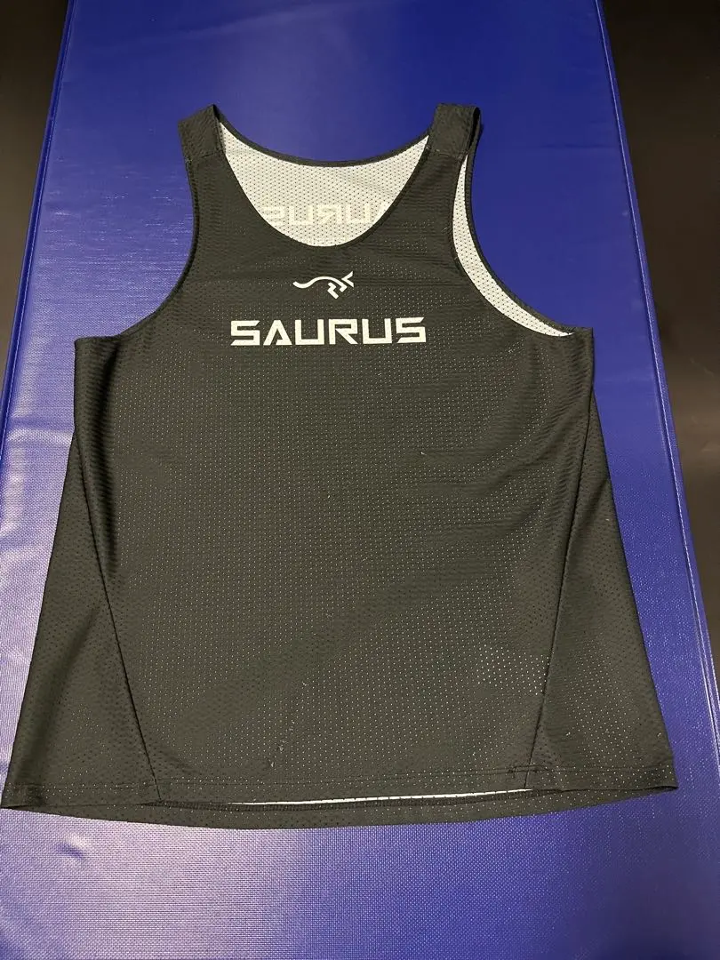 2026年最新】AMINO SAURUS ウォーキング・ランニングウェアの人気