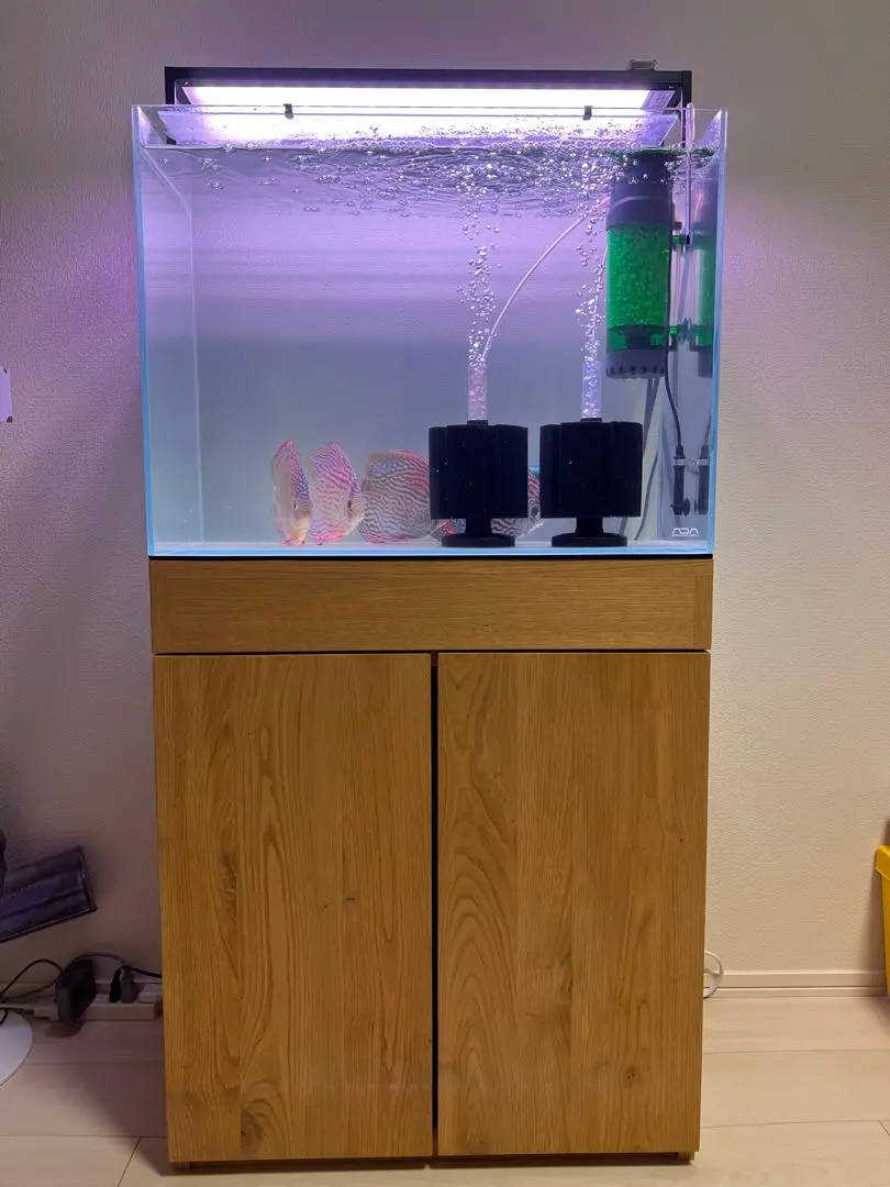 2026年最新】adaキューブキャビネットの人気アイテム - メルカリ