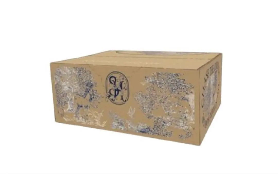 2026年最新】スナイデルホーム 福袋 2022の人気アイテム - メルカリ