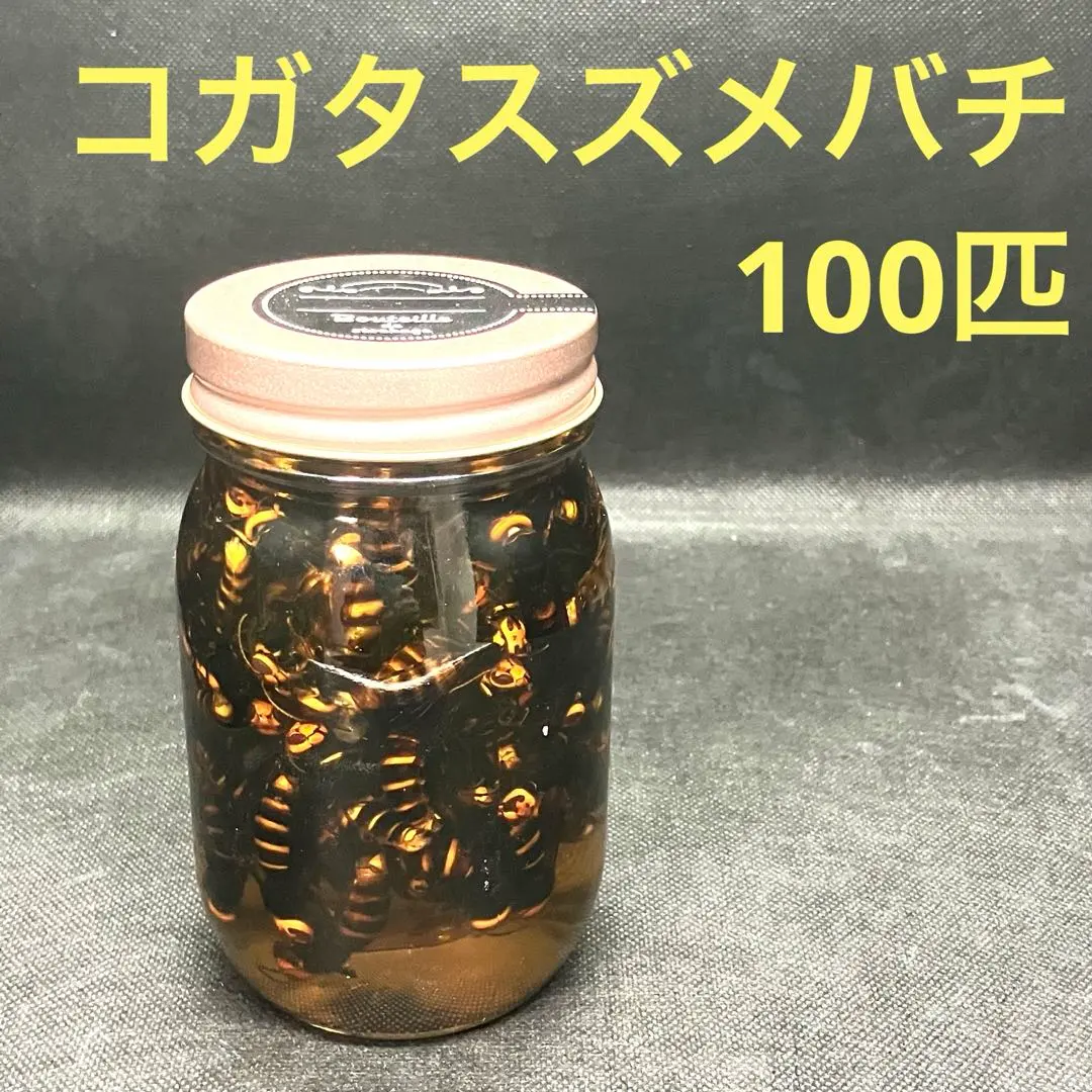 2026年最新】スズメバチ 焼酎の人気アイテム - メルカリ