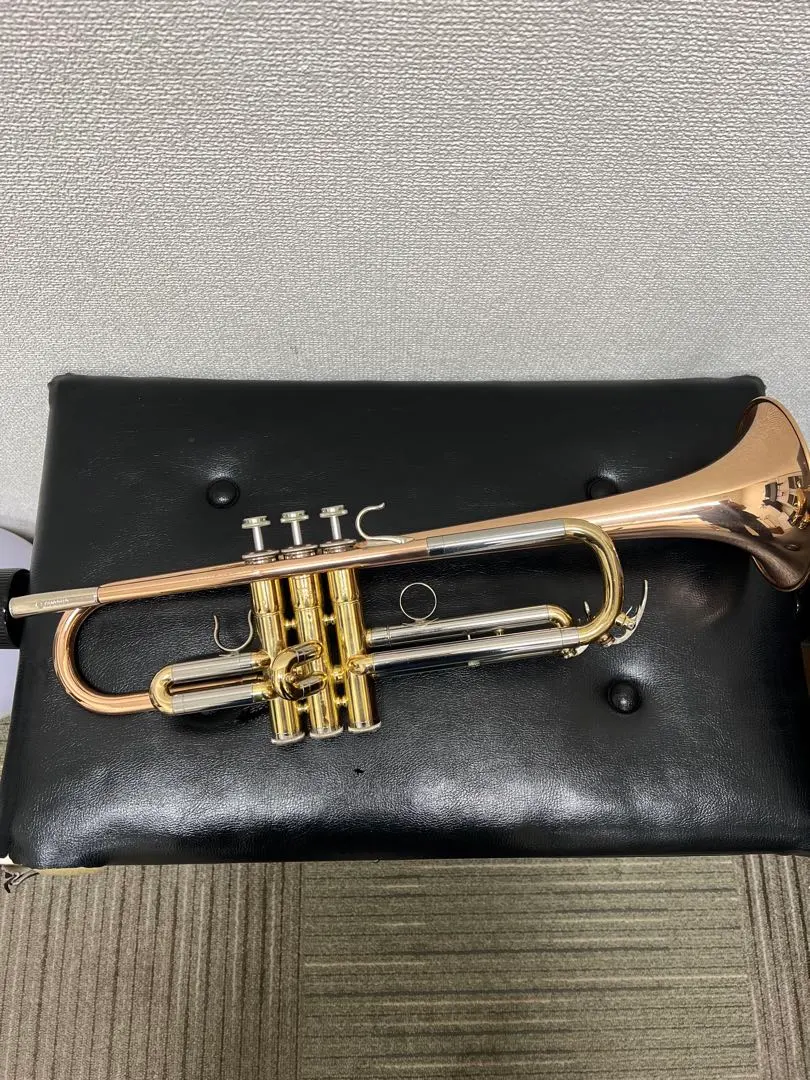 2026年最新】YTR-634の人気アイテム - メルカリ