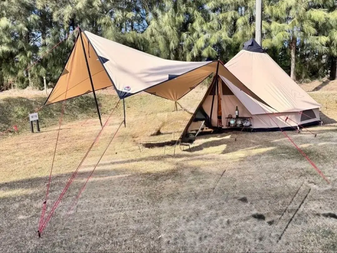 2026年最新】クロンダイク ローベンスの人気アイテム - メルカリ