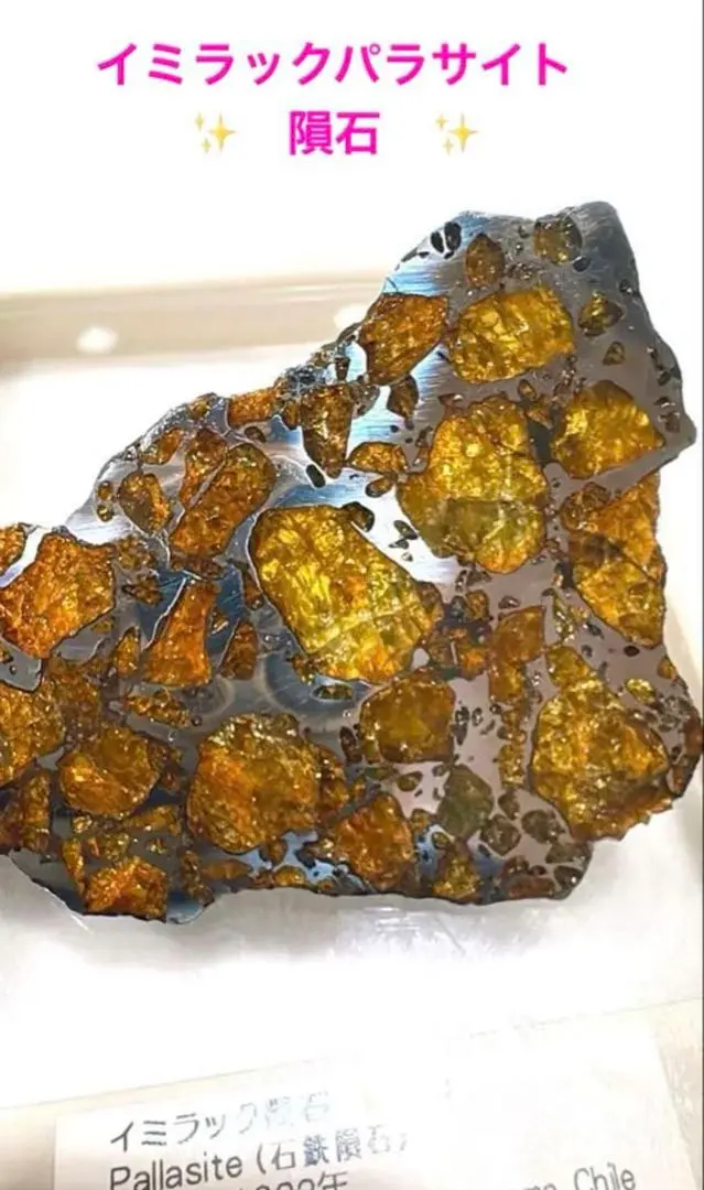 2026年最新】イミラックパラサイトの人気アイテム - メルカリ