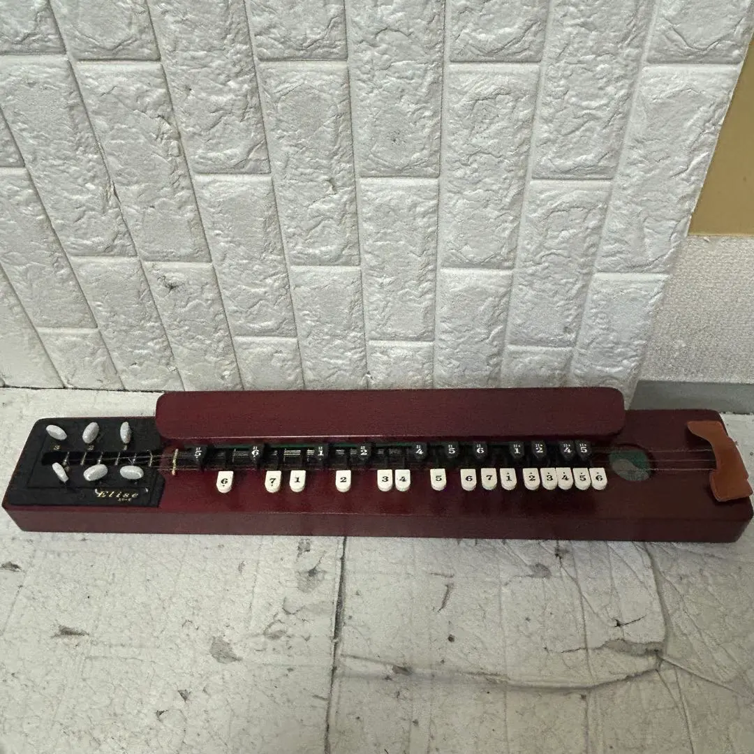 2026年最新】大正琴 ライリッシュの人気アイテム - メルカリ