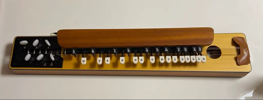 2026年最新】大正琴 ライリッシュの人気アイテム - メルカリ