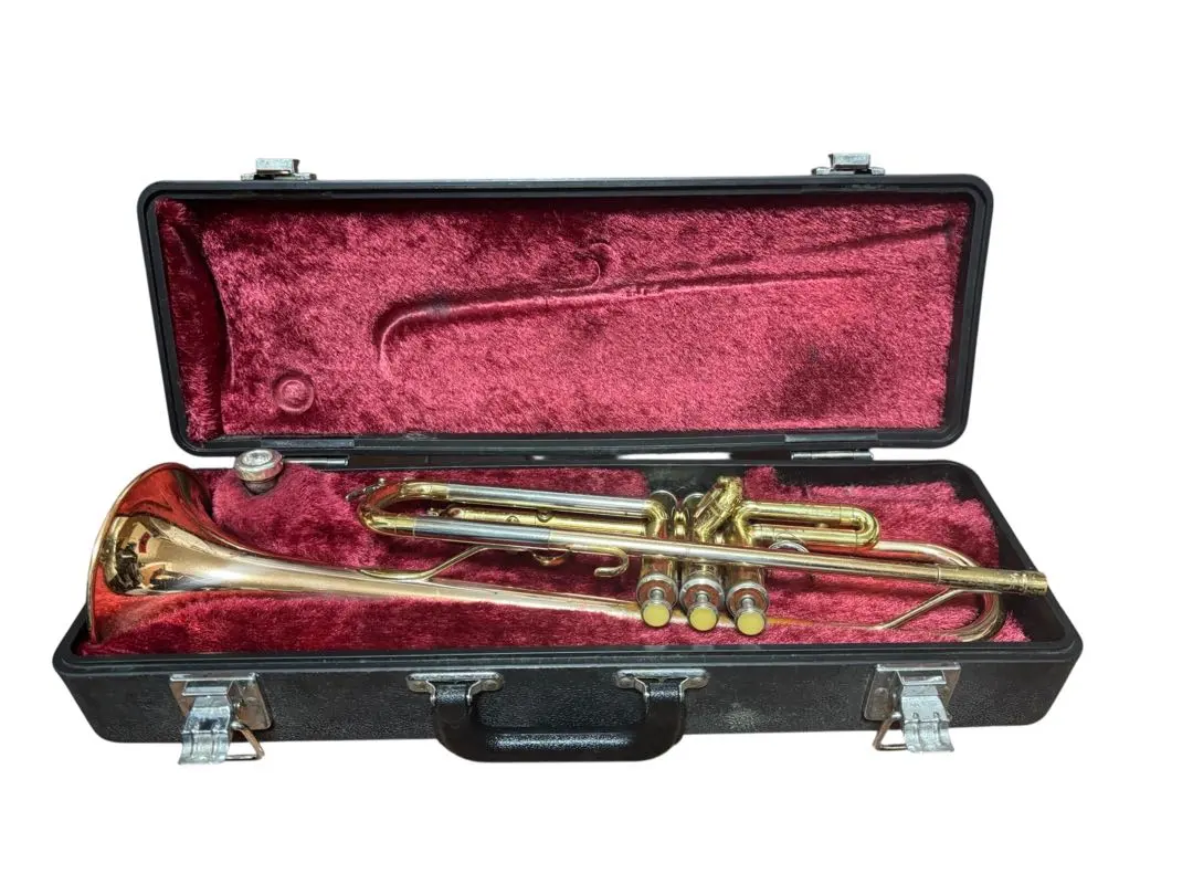 2026年最新】ytr 3320の人気アイテム - メルカリ