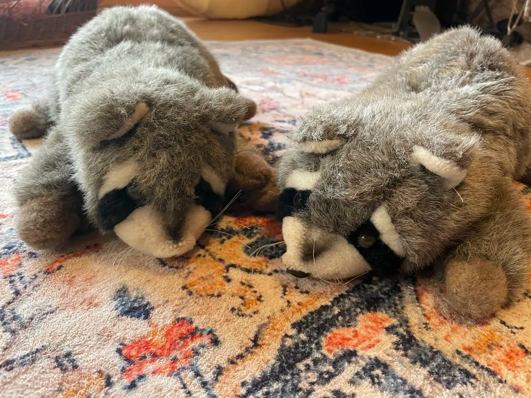 2026年最新】オリエンタルトーイ あらいぐまの人気アイテム - メルカリ