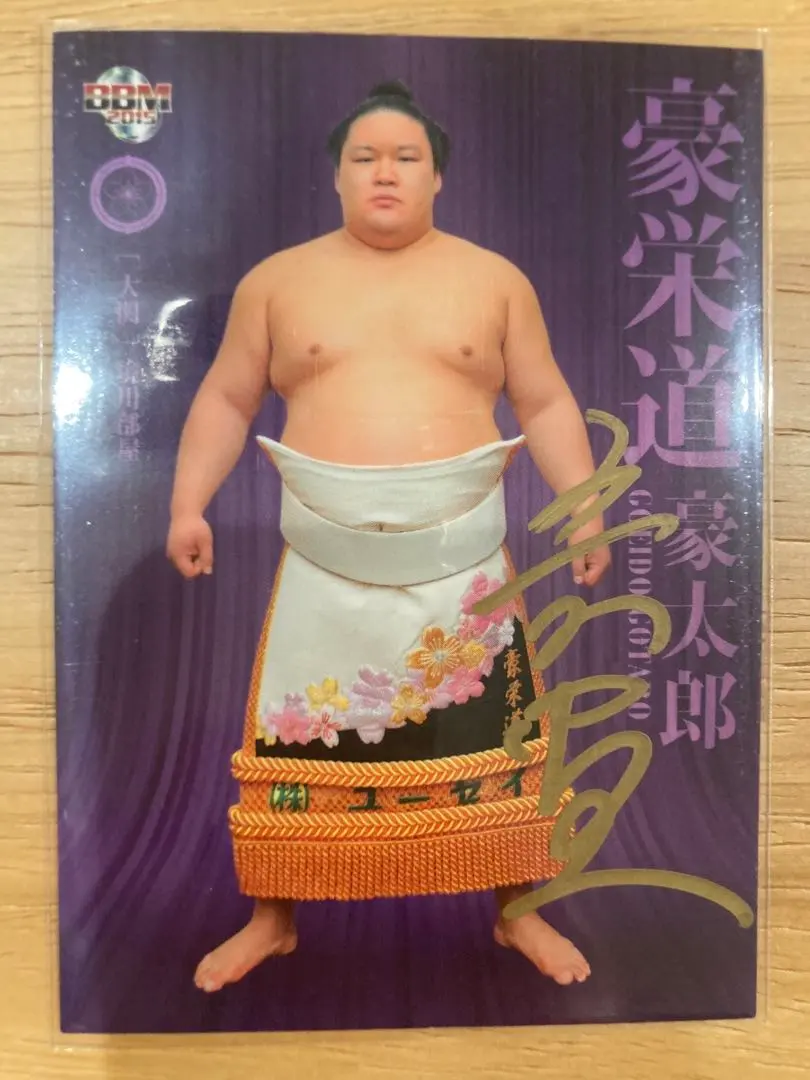 2026年最新】豪栄道の人気アイテム - メルカリ