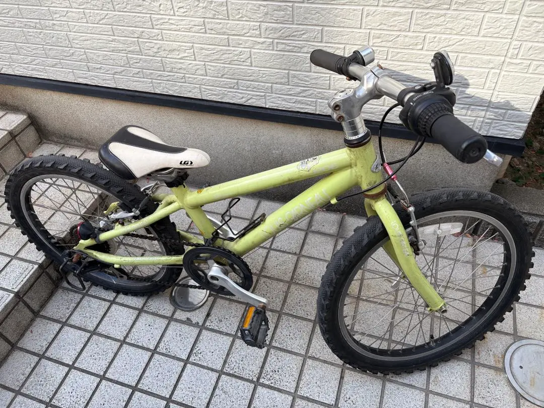 2026年最新】自転車 ルイガノ 20インチの人気アイテム - メルカリ