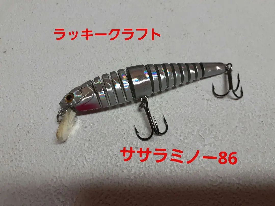 2026年最新】ハスキーハスジーの人気アイテム - メルカリ