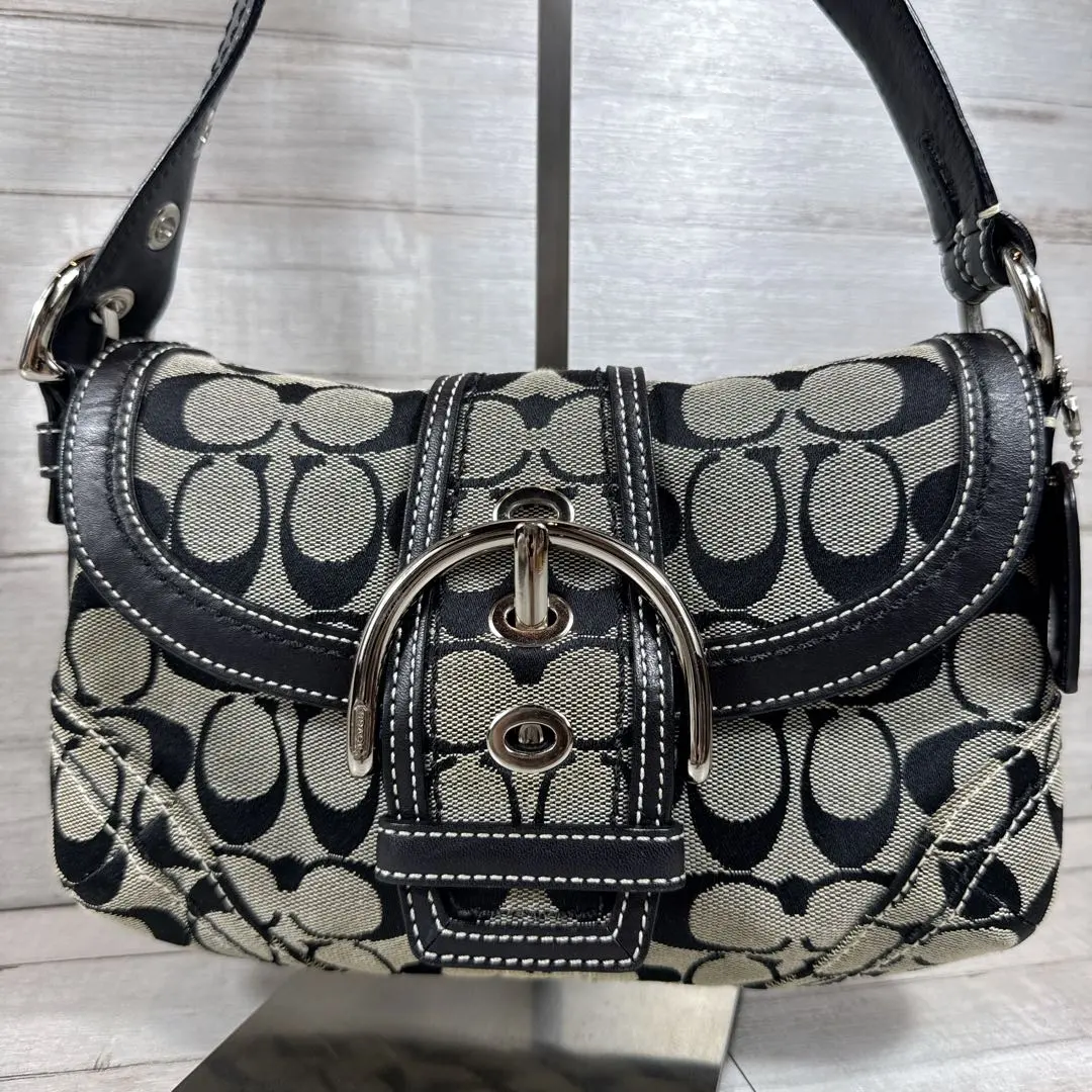 2026年最新】コーチ 10296の人気アイテム - メルカリ