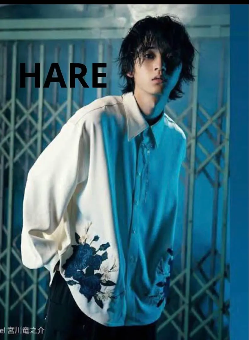 2026年最新】ado hare シャツの人気アイテム - メルカリ