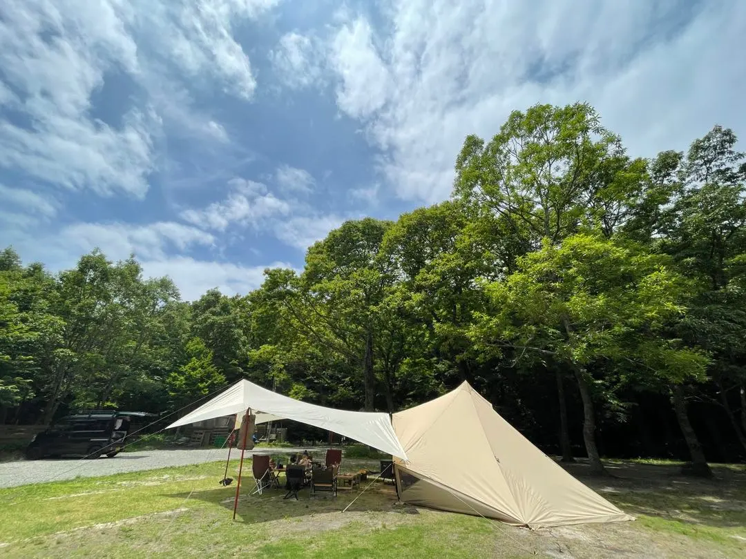 2026年最新】dod ディーオーディー フタマタノキワミの人気アイテム