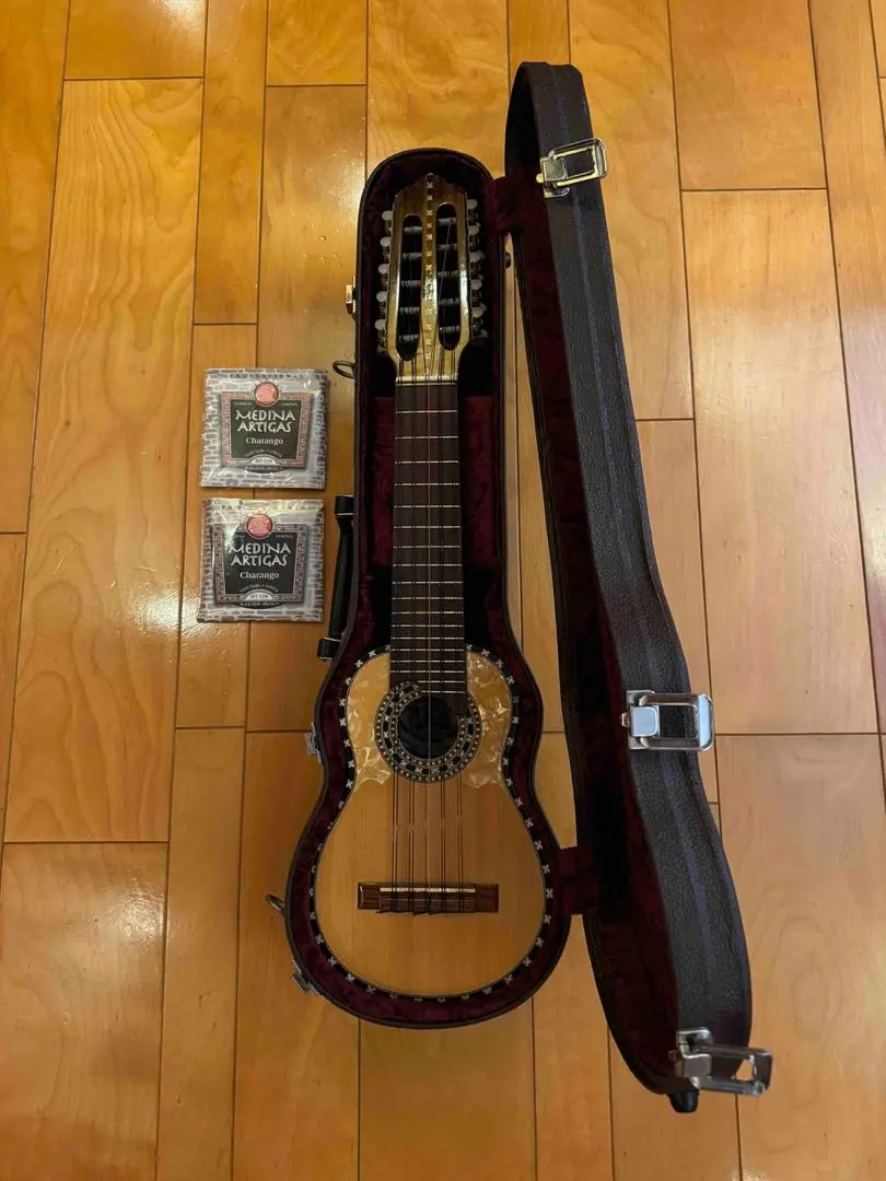 2026年最新】チャランゴ 楽器の人気アイテム - メルカリ