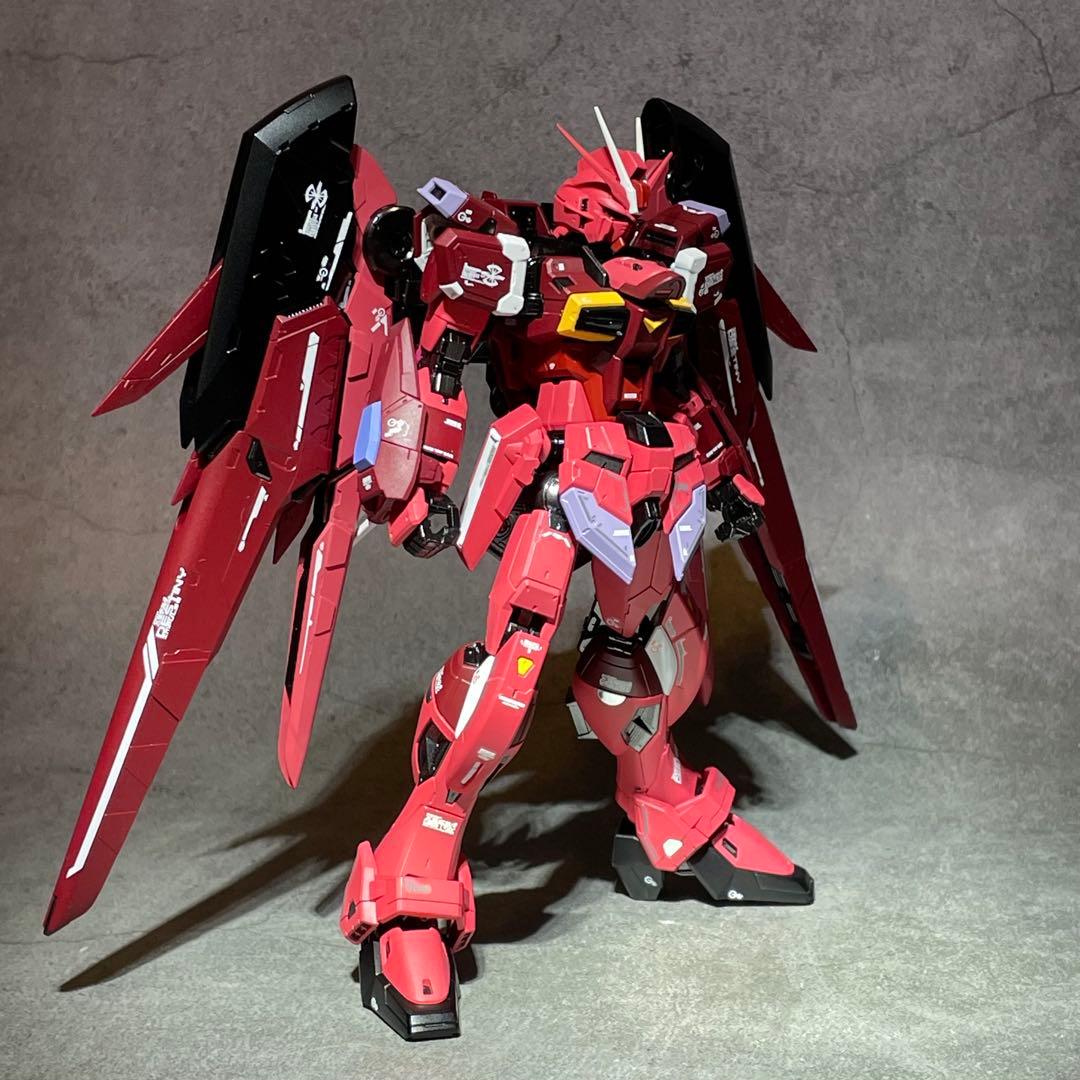 確認用 RG ディスティニーインパルスガンダム
