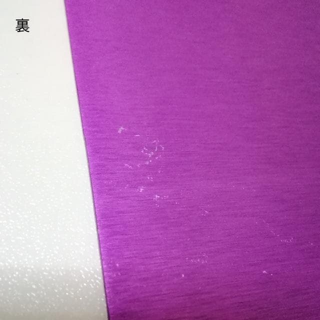 ニコラ・テスラ ポジティブエナジー・パープルプレート L 電磁波対策