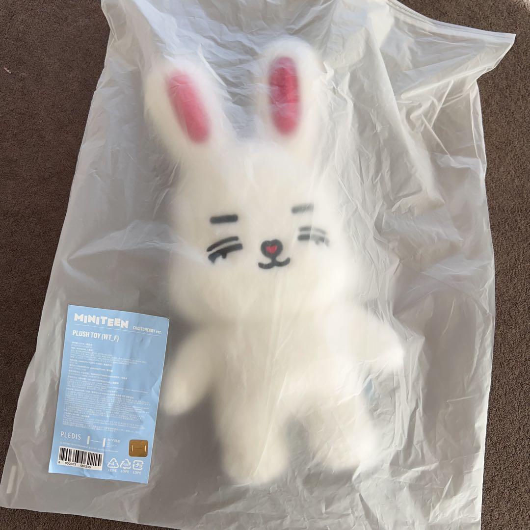 セブチ ぬいぐるみ miniteen エスクプス choitcherry - メルカリ