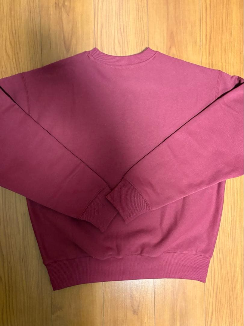 stussy スウェット LONG RANGE CREW