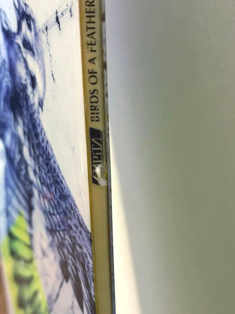 キャピタ バーズ スノボ 板