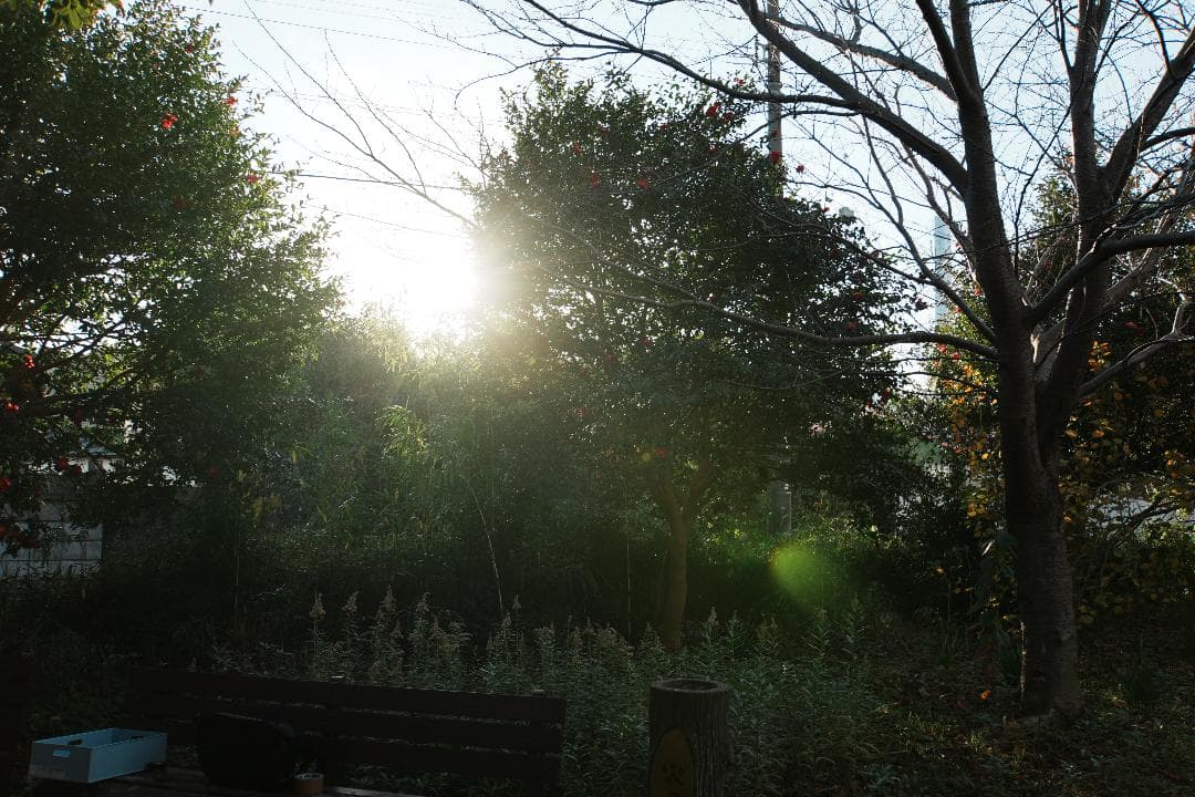 レンズ交換から解放される1本 SONY SEL18200LE 美品