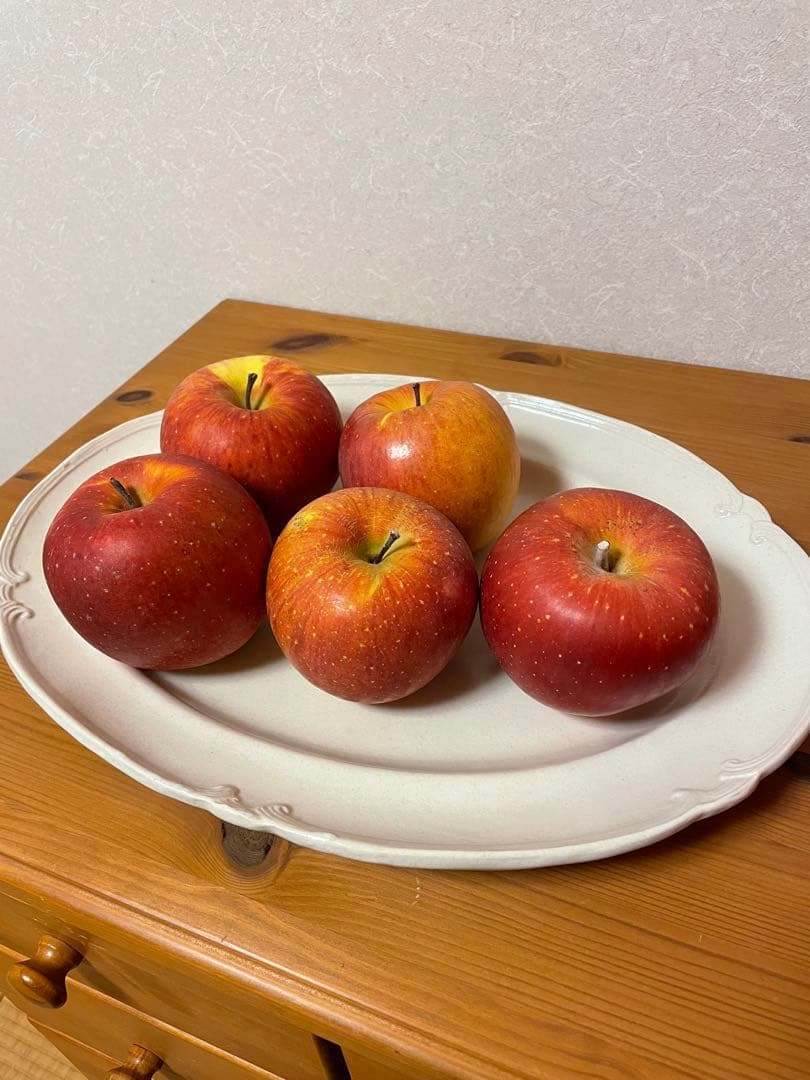 長峰菜穂子オーバルプレート①