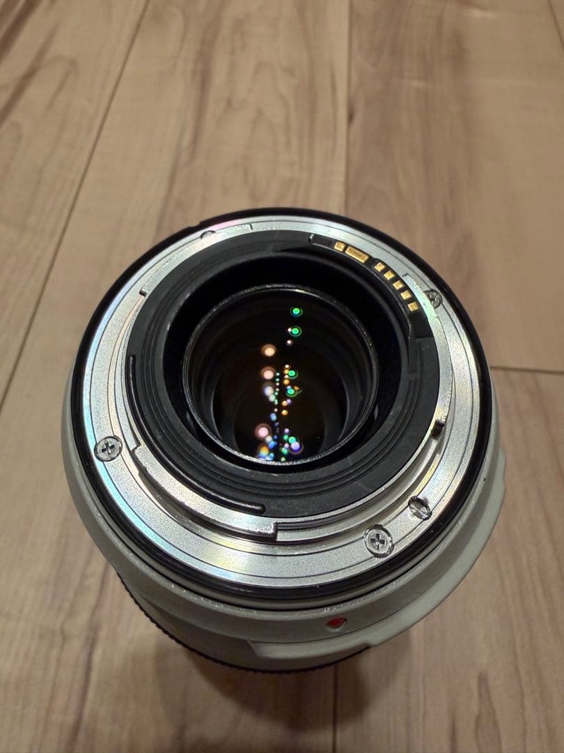 【ジャンク品】Canon EF 70-300mm f/4-5.6L IS USM