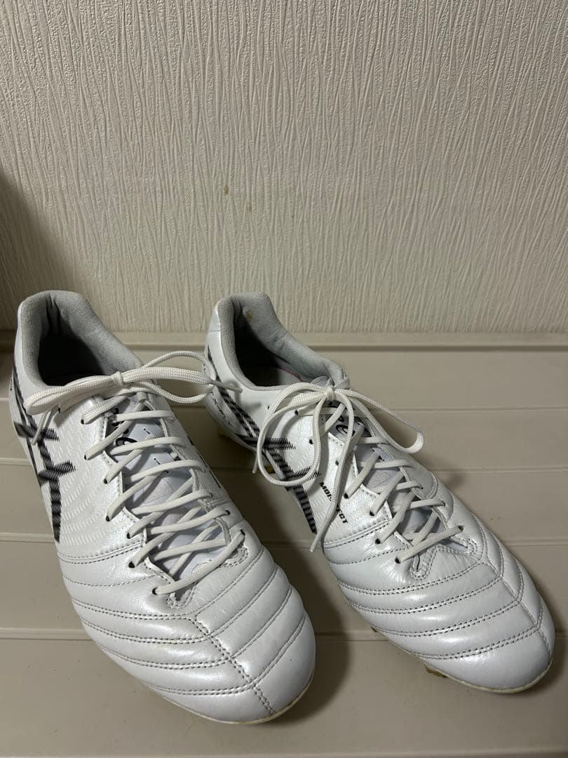 【ASICS DS LIGHT X-FLY PRO 2】27.5cm