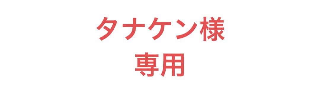 タナケン　セット