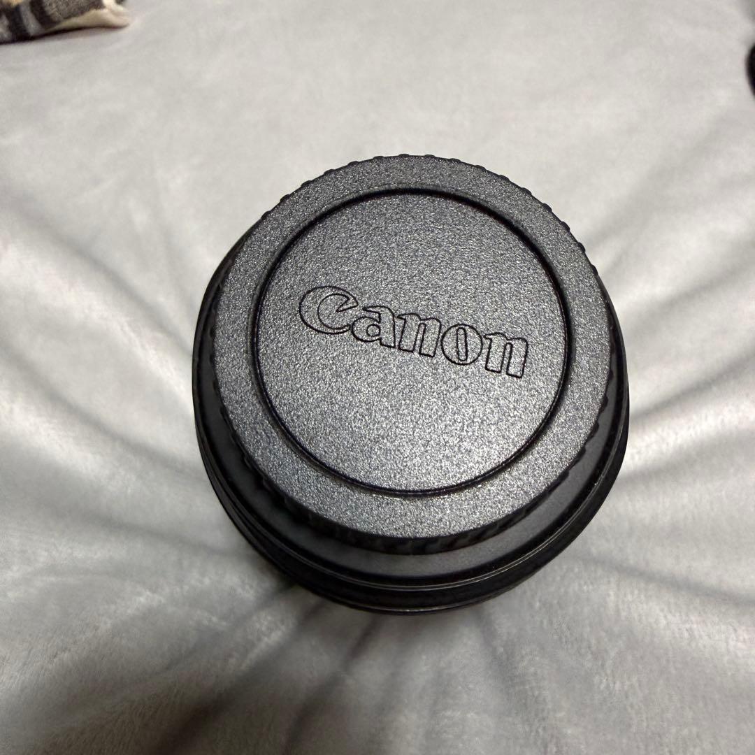 Canon EF 24-105 f4 Lレンズ PLフィルター付き キヤノン