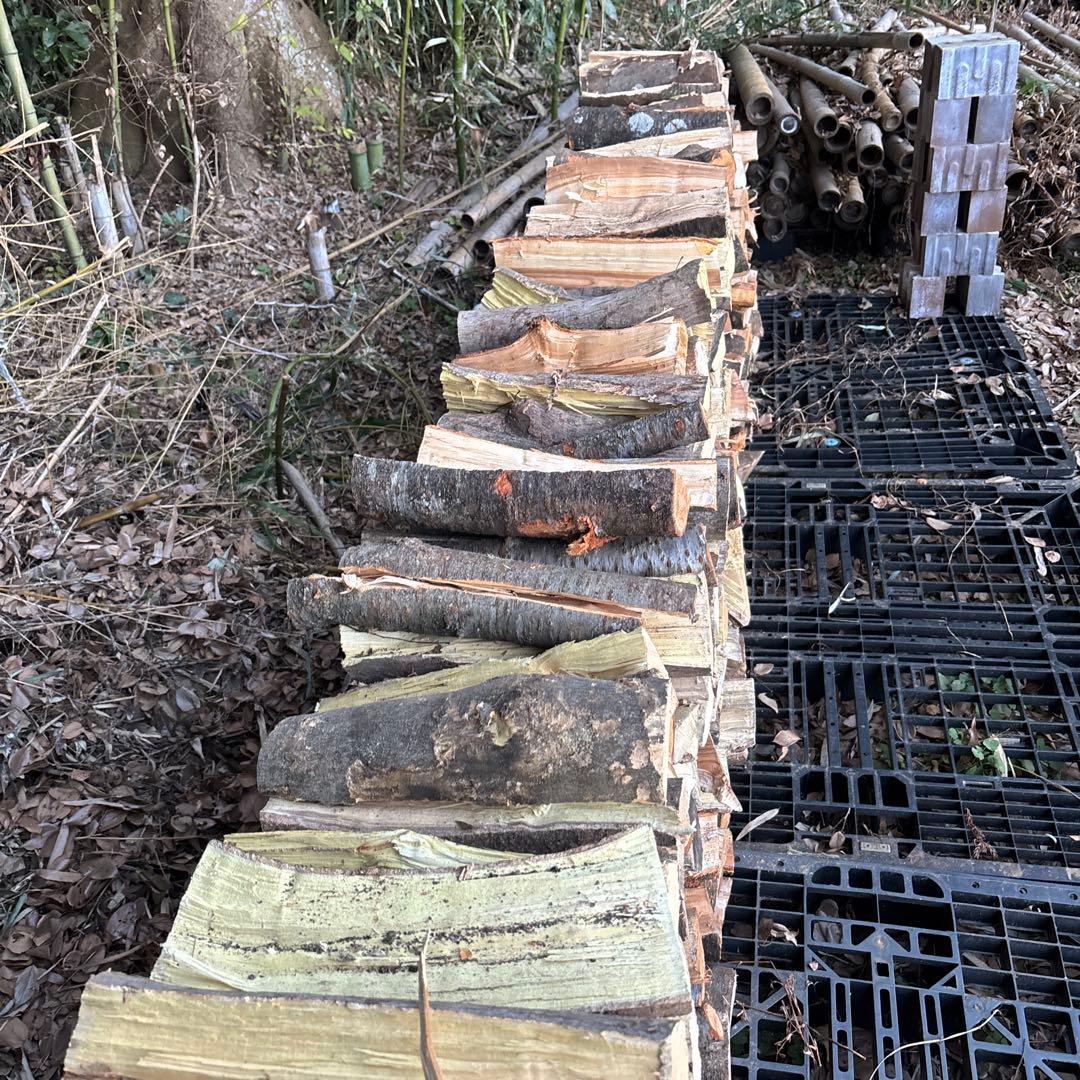 そろそろ薪だな空いてきた頃❣️引き取り限定‼️ 未乾燥‼️来年用　広葉樹ミックス