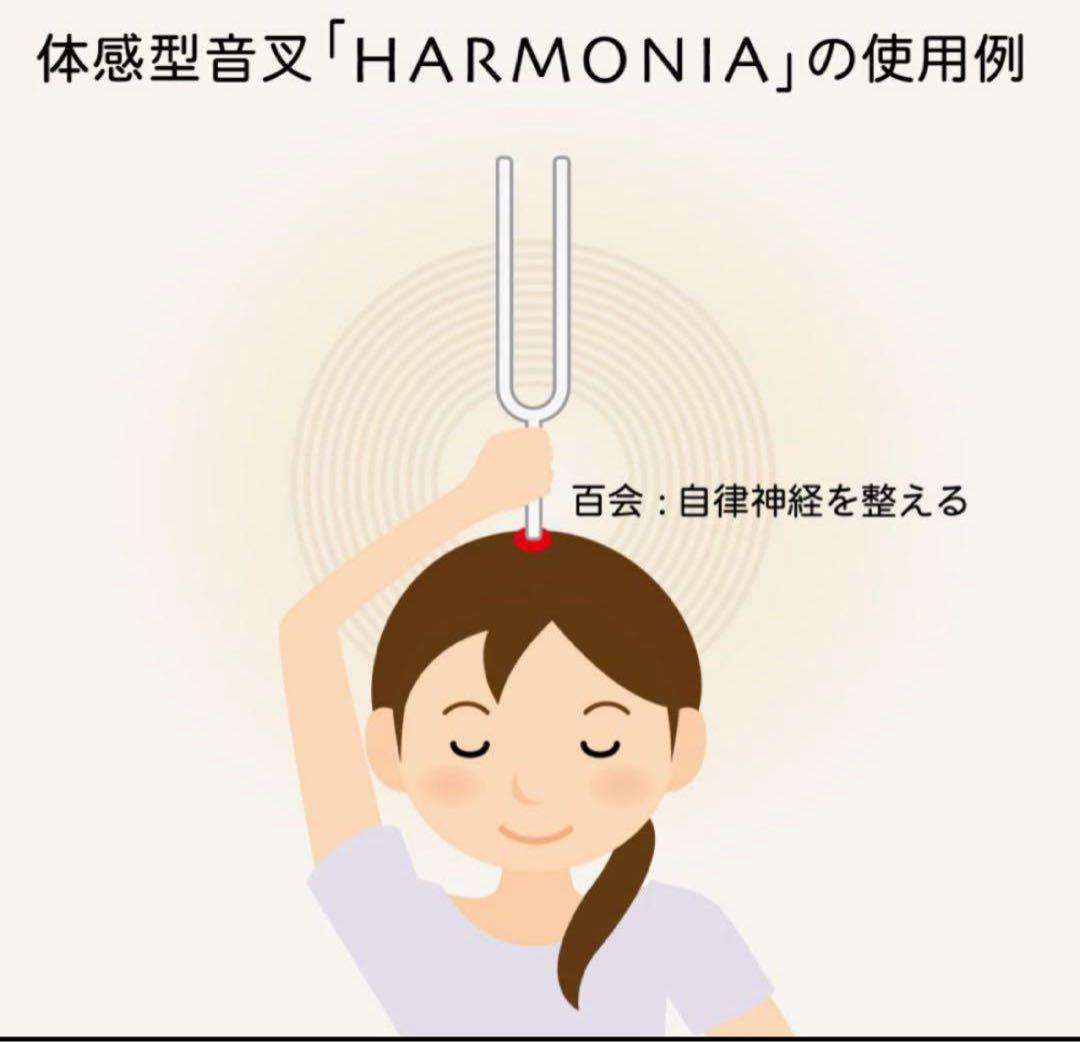 HARMONIA音叉 432Hz 特大クリスタル音叉 - メルカリ