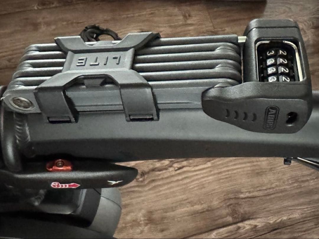 【11月中旬発送】tern Vektron s10 LR 輪行袋付き 電動自転車