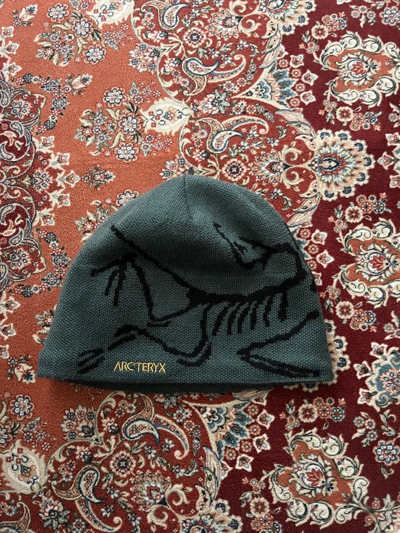 アークテリクスビーニー ARC'TERYX Dark Magic 22AW