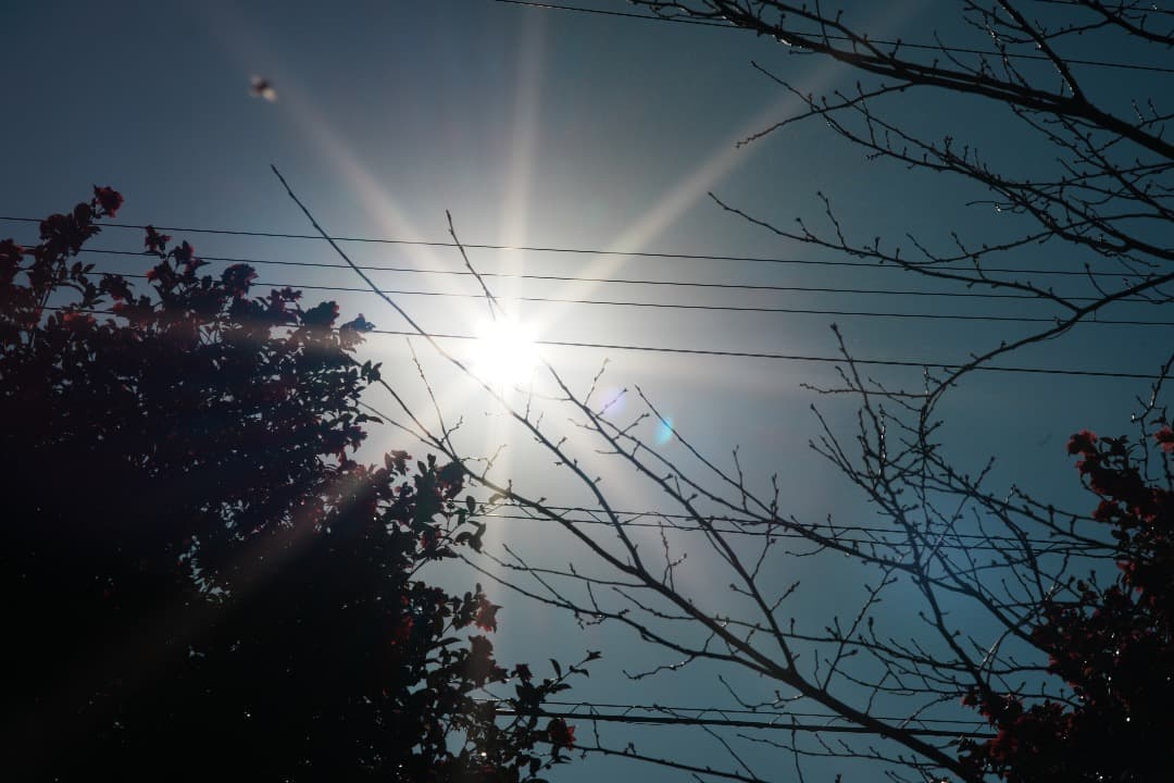 【整備＆テスト済】Canon New FD 85mm F1.8 329